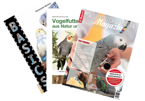 Bücher / Fachliteratur